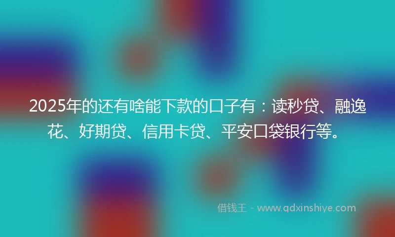 2025年的还有啥能下款的口子有：读秒贷、融逸花、好期贷、信用卡贷、平安口袋银行等。