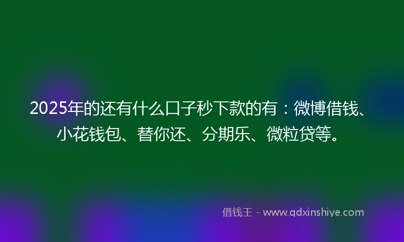2025年的还有什么口子秒下款的有：微博借钱、小花钱包、替你还、分期乐、微粒贷等。