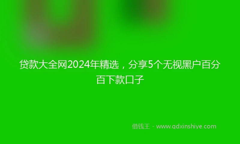 贷款大全网2024年精选，分享5个无视黑户百分百下款口子