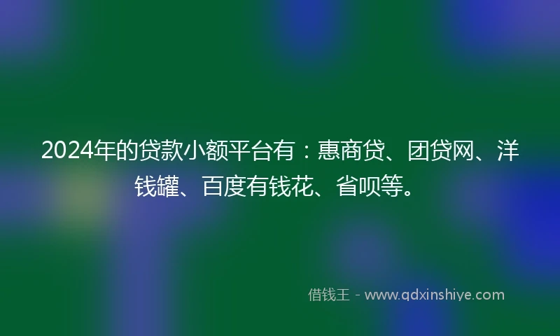 2024年的贷款小额平台有：惠商贷、团贷网、洋钱罐、百度有钱花、省呗等。
