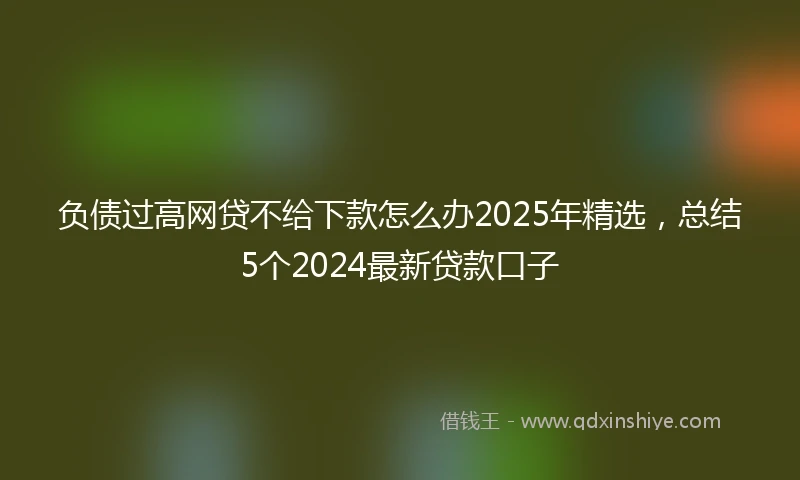 负债过高网贷不给下款怎么办2025年精选，总结5个2024最新贷款口子