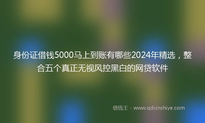 身份证借钱5000马上到账有哪些2024年精选，整合五个真正无视风控黑白的网贷软件