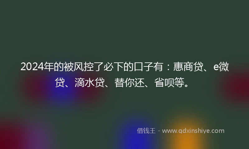 2024年的被风控了必下的口子有：惠商贷、e微贷、滴水贷、替你还、省呗等。