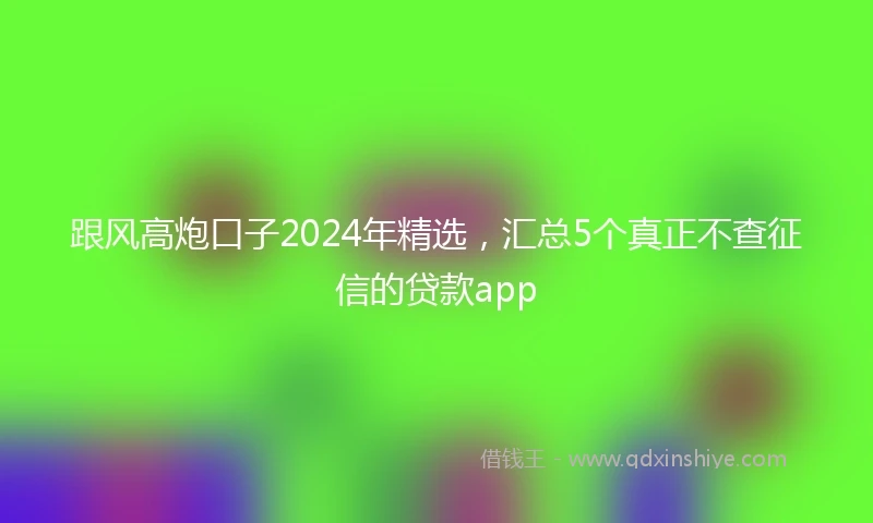 跟风高炮口子2024年精选，汇总5个真正不查征信的贷款app
