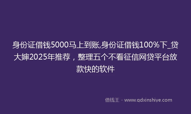 身份证借钱5000马上到账,身份证借钱100%下_贷大婶2025年推荐，整理五个不看征信网贷平台放款快的软件