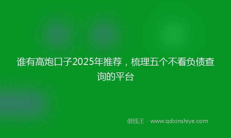 谁有高炮口子2025年推荐，梳理五个不看负债查询的平台
