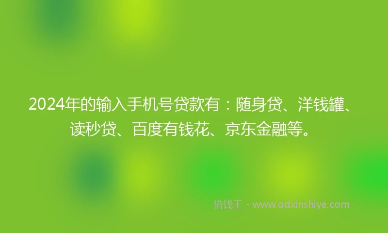 2024年的输入手机号贷款有：随身贷、洋钱罐、读秒贷、百度有钱花、京东金融等。