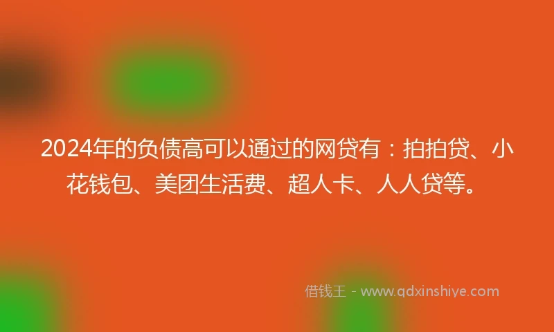 2024年的负债高可以通过的网贷有：拍拍贷、小花钱包、美团生活费、超人卡、人人贷等。