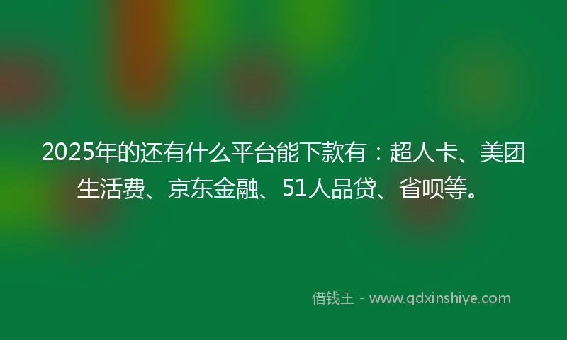 2025年的还有什么平台能下款有：超人卡、美团生活费、京东金融、51人品贷、省呗等。