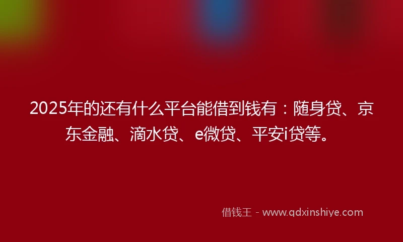 2025年的还有什么平台能借到钱有：随身贷、京东金融、滴水贷、e微贷、平安i贷等。
