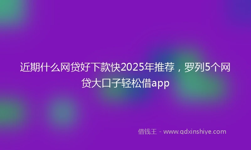 近期什么网贷好下款快2025年推荐，罗列5个网贷大口子轻松借app