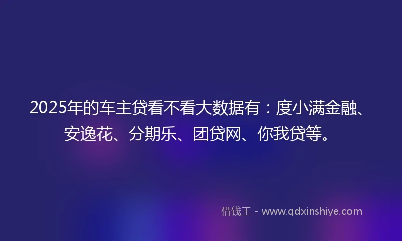 2025年的车主贷看不看大数据有：度小满金融、安逸花、分期乐、团贷网、你我贷等。