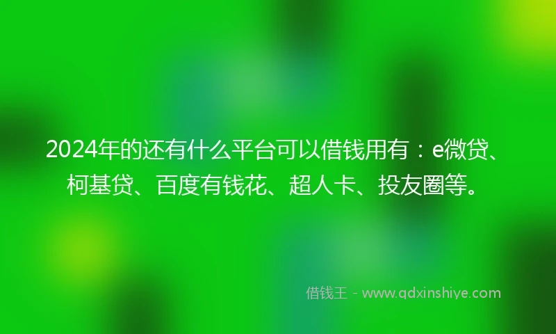 2024年的还有什么平台可以借钱用有：e微贷、柯基贷、百度有钱花、超人卡、投友圈等。
