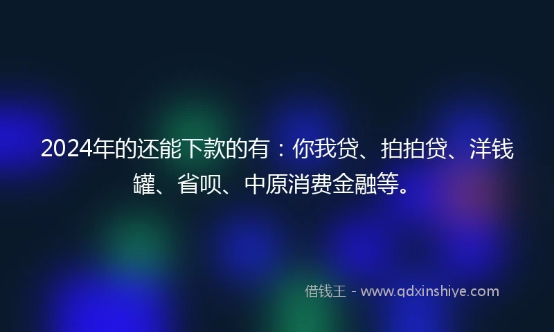 2024年的还能下款的有：你我贷、拍拍贷、洋钱罐、省呗、中原消费金融等。