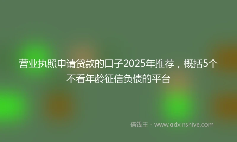 营业执照申请贷款的口子2025年推荐，概括5个不看年龄征信负债的平台