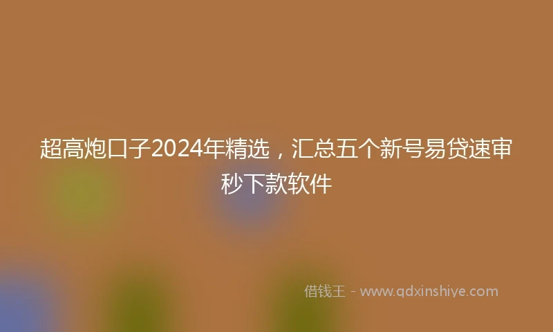 超高炮口子2024年精选，汇总五个新号易贷速审秒下款软件