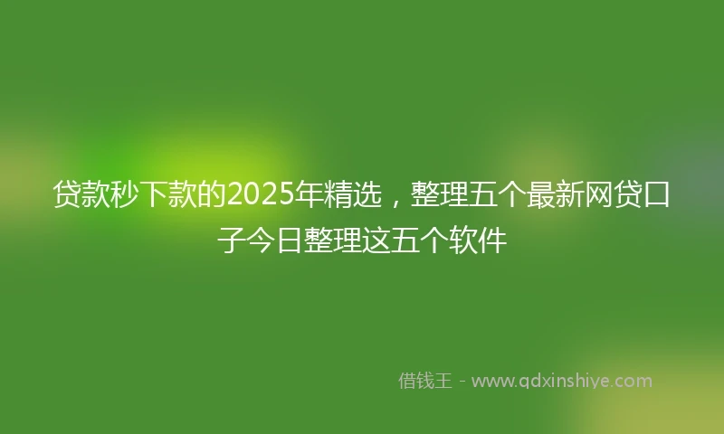 贷款秒下款的2025年精选，整理五个最新网贷口子今日整理这五个软件