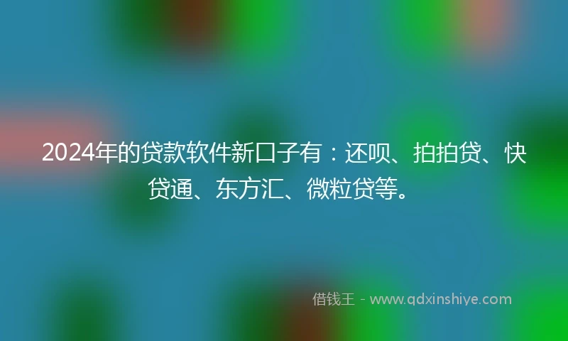 2024年的贷款软件新口子有：还呗、拍拍贷、快贷通、东方汇、微粒贷等。