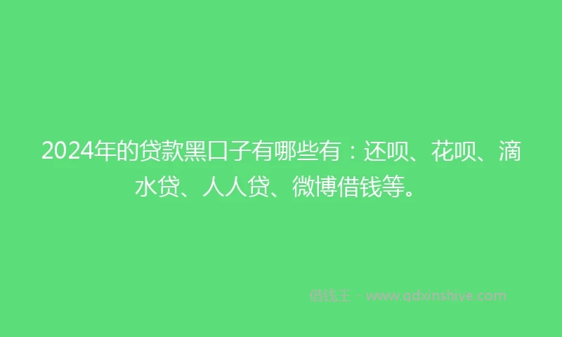 2024年的贷款黑口子有哪些有：还呗、花呗、滴水贷、人人贷、微博借钱等。