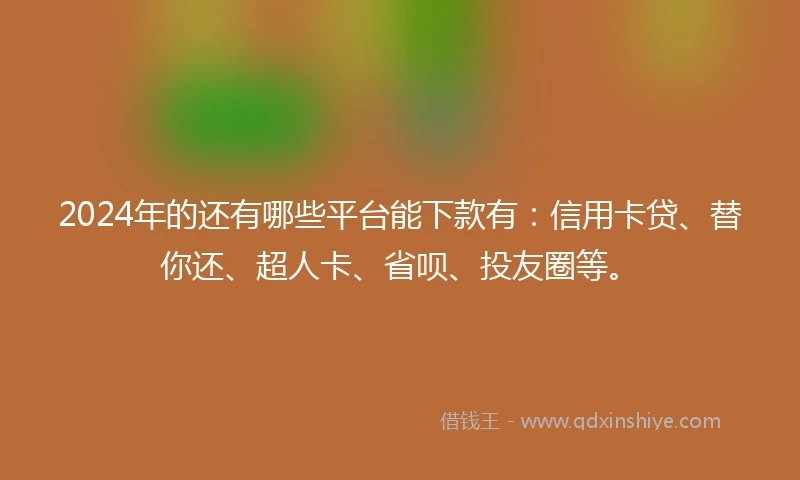 2024年的还有哪些平台能下款有：信用卡贷、替你还、超人卡、省呗、投友圈等。