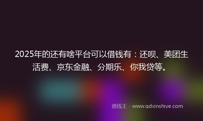 2025年的还有啥平台可以借钱有：还呗、美团生活费、京东金融、分期乐、你我贷等。