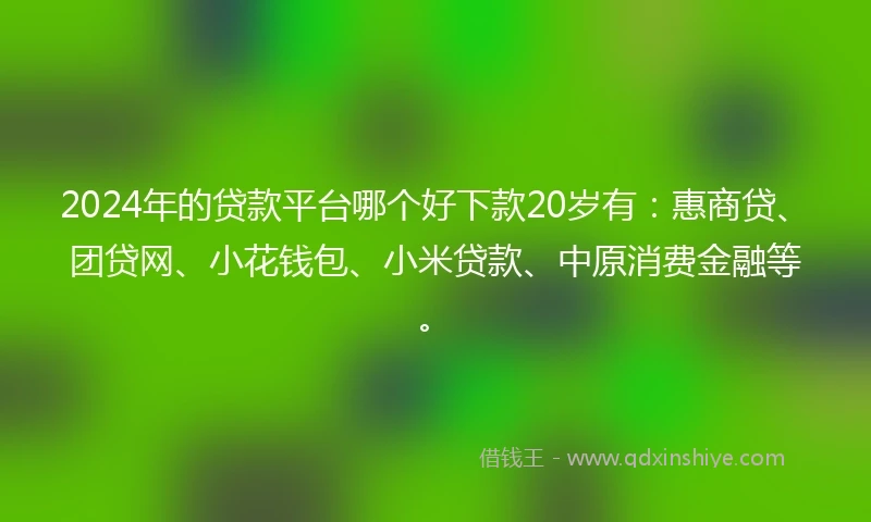 2024年的贷款平台哪个好下款20岁有：惠商贷、团贷网、小花钱包、小米贷款、中原消费金融等。