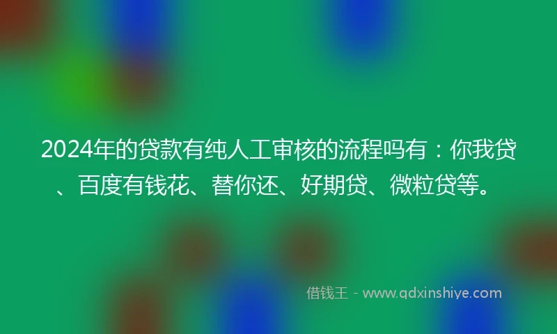 2024年的贷款有纯人工审核的流程吗有：你我贷、百度有钱花、替你还、好期贷、微粒贷等。