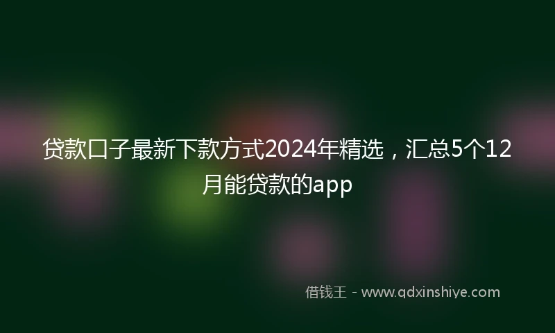 贷款口子最新下款方式2024年精选，汇总5个12月能贷款的app