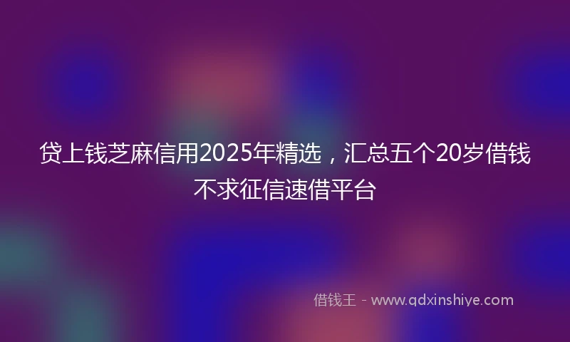 贷上钱芝麻信用2025年精选，汇总五个20岁借钱不求征信速借平台