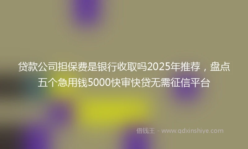 贷款公司担保费是银行收取吗2025年推荐，盘点五个急用钱5000快审快贷无需征信平台