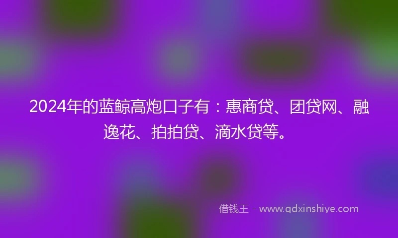 2024年的蓝鲸高炮口子有：惠商贷、团贷网、融逸花、拍拍贷、滴水贷等。