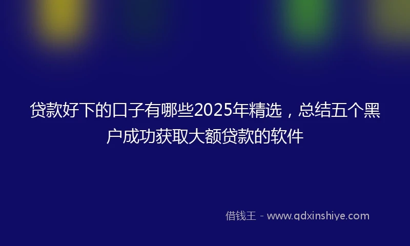 贷款好下的口子有哪些2025年精选，总结五个黑户成功获取大额贷款的软件