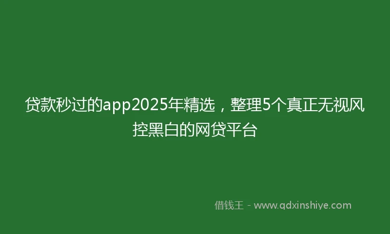 贷款秒过的app2025年精选，整理5个真正无视风控黑白的网贷平台