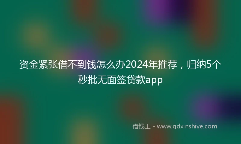 资金紧张借不到钱怎么办2024年推荐，归纳5个秒批无面签贷款app