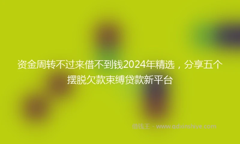 资金周转不过来借不到钱2024年精选，分享五个摆脱欠款束缚贷款新平台