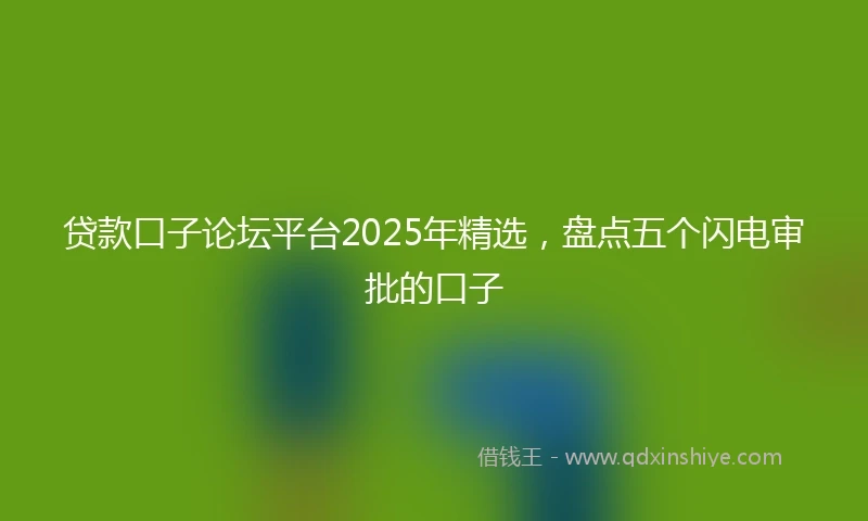 贷款口子论坛平台2025年精选，盘点五个闪电审批的口子