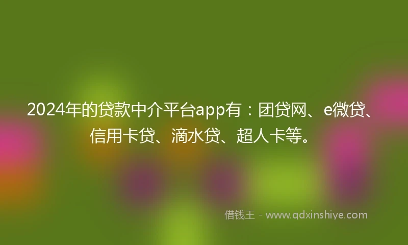 2024年的贷款中介平台app有：团贷网、e微贷、信用卡贷、滴水贷、超人卡等。