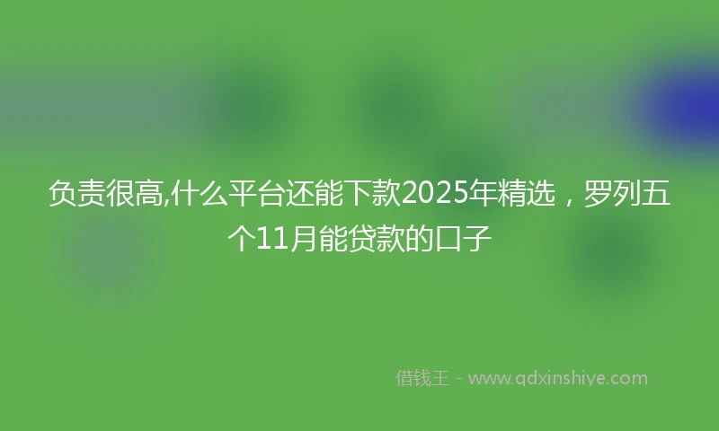 负责很高,什么平台还能下款2025年精选，罗列五个11月能贷款的口子