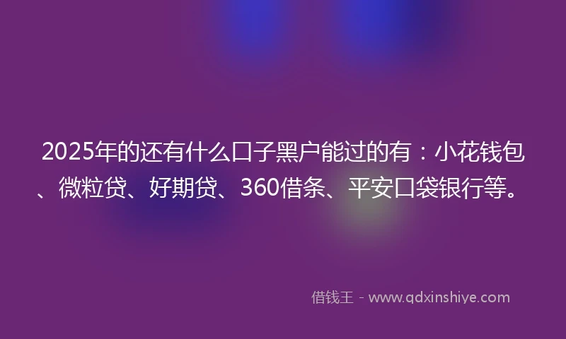 2025年的还有什么口子黑户能过的有：小花钱包、微粒贷、好期贷、360借条、平安口袋银行等。
