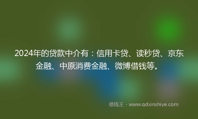 2024年的贷款中介有：信用卡贷、读秒贷、京东金融、中原消费金融、微博借钱等。