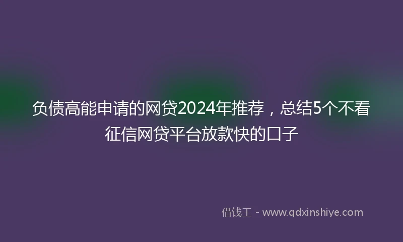 负债高能申请的网贷2024年推荐，总结5个不看征信网贷平台放款快的口子