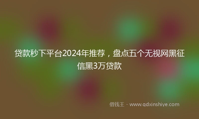 贷款秒下平台2024年推荐，盘点五个无视网黑征信黑3万贷款