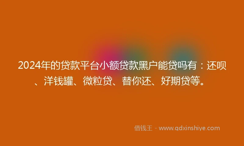 2024年的贷款平台小额贷款黑户能贷吗有：还呗、洋钱罐、微粒贷、替你还、好期贷等。