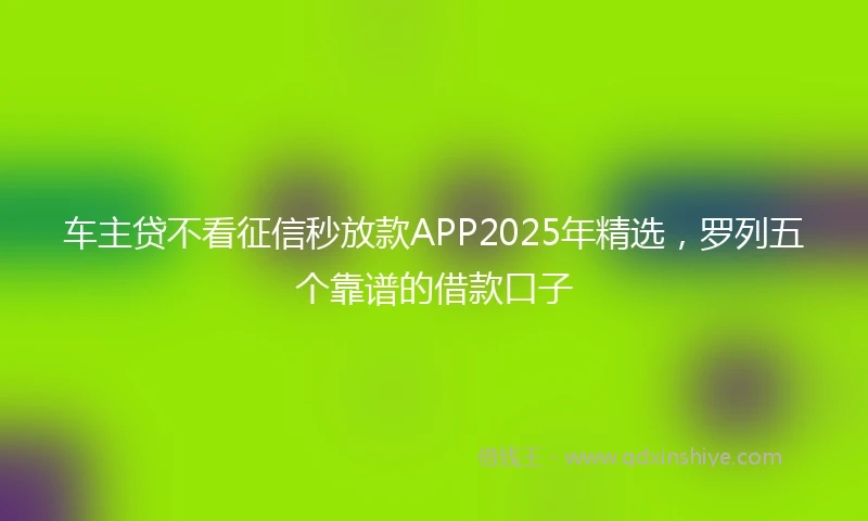 车主贷不看征信秒放款APP2025年精选，罗列五个靠谱的借款口子