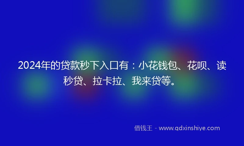 2024年的贷款秒下入口有：小花钱包、花呗、读秒贷、拉卡拉、我来贷等。