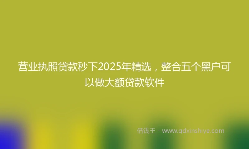 营业执照贷款秒下2025年精选，整合五个黑户可以做大额贷款软件