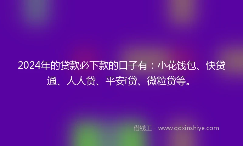2024年的贷款必下款的口子有：小花钱包、快贷通、人人贷、平安i贷、微粒贷等。