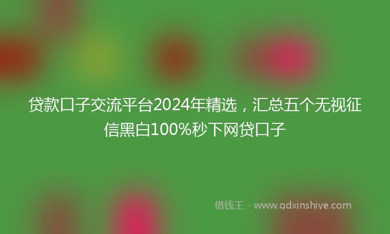 贷款口子交流平台2024年精选，汇总五个无视征信黑白100%秒下网贷口子