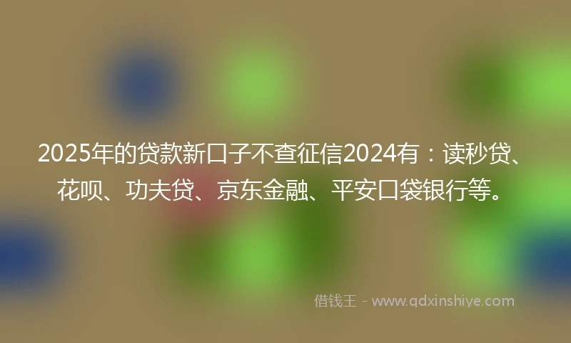 2025年的贷款新口子不查征信2024有：读秒贷、花呗、功夫贷、京东金融、平安口袋银行等。