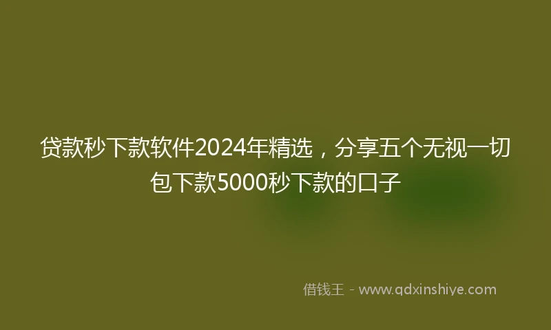 贷款秒下款软件2024年精选，分享五个无视一切包下款5000秒下款的口子